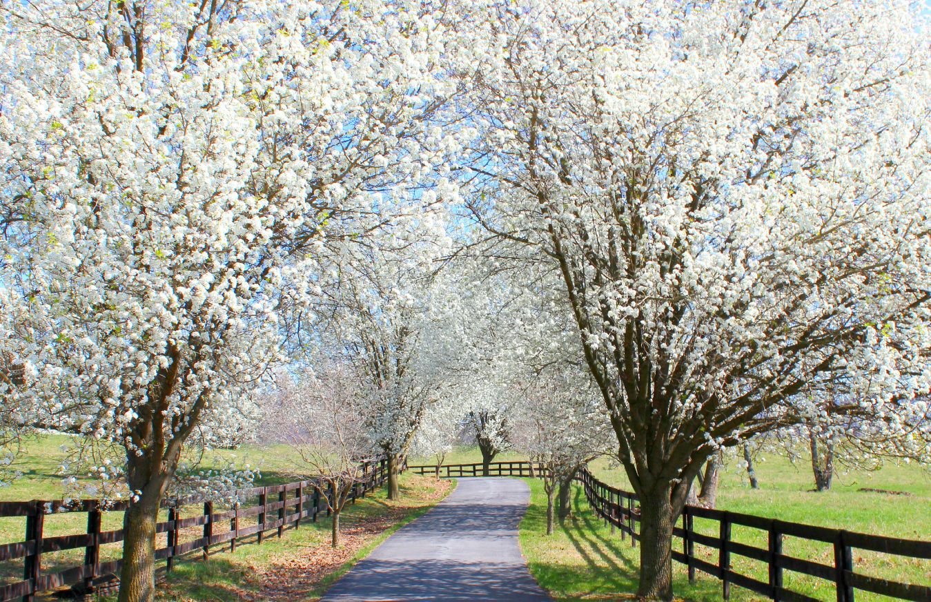 Scenic Virginia for May 28, 2016